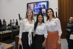 Abertura-dos-trabalhos-na-ALMS-Foto-Edemir-Rodrigues-251