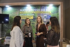 Bienal das Rodovias 2024 - Foto Edemir Rodrigues