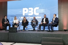 P3C-42